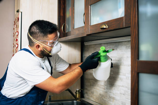 Best Pest Control Cost  in Lavon, TX