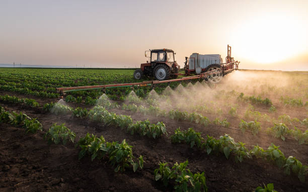 Professional Pest Control in Lavon, TX