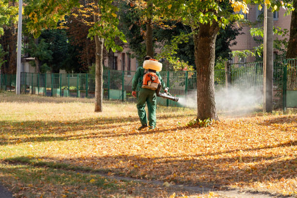 Best Best Pest Control Companies  in Lavon, TX