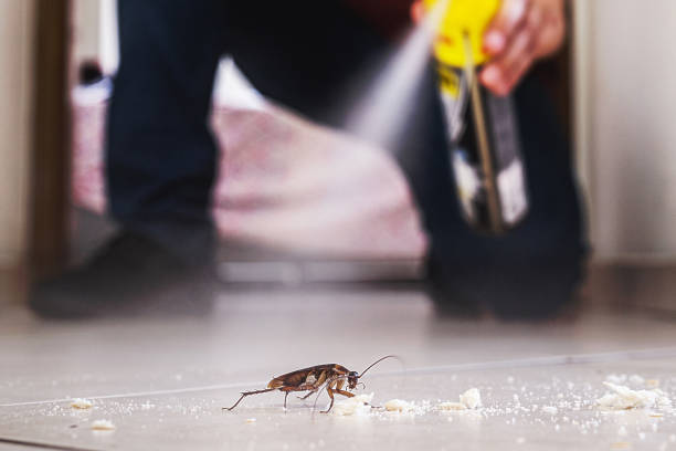 Best Wildlife Control Services  in Lavon, TX