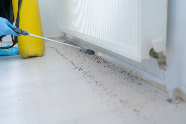 Best Residential Pest Control  in Lavon, TX