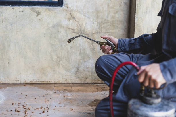 Best Pest Control Near Me  in Lavon, TX