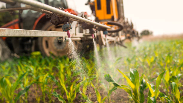 Best Pest Removal Services  in Lavon, TX